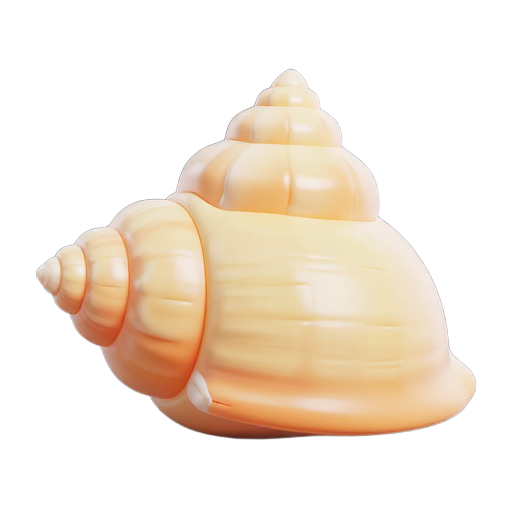 🐚