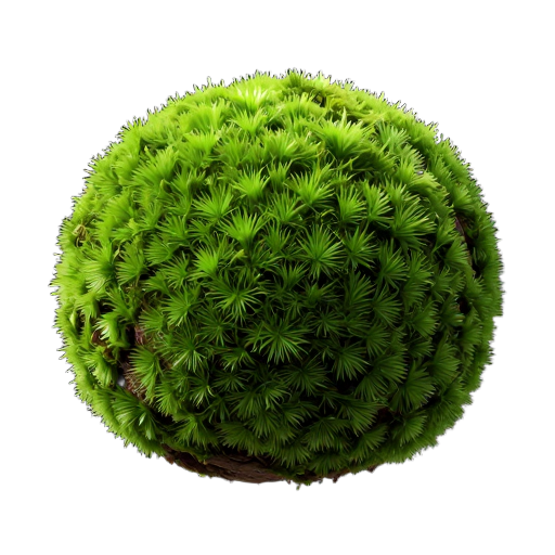 🌿